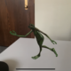 Virtual Reality Frog